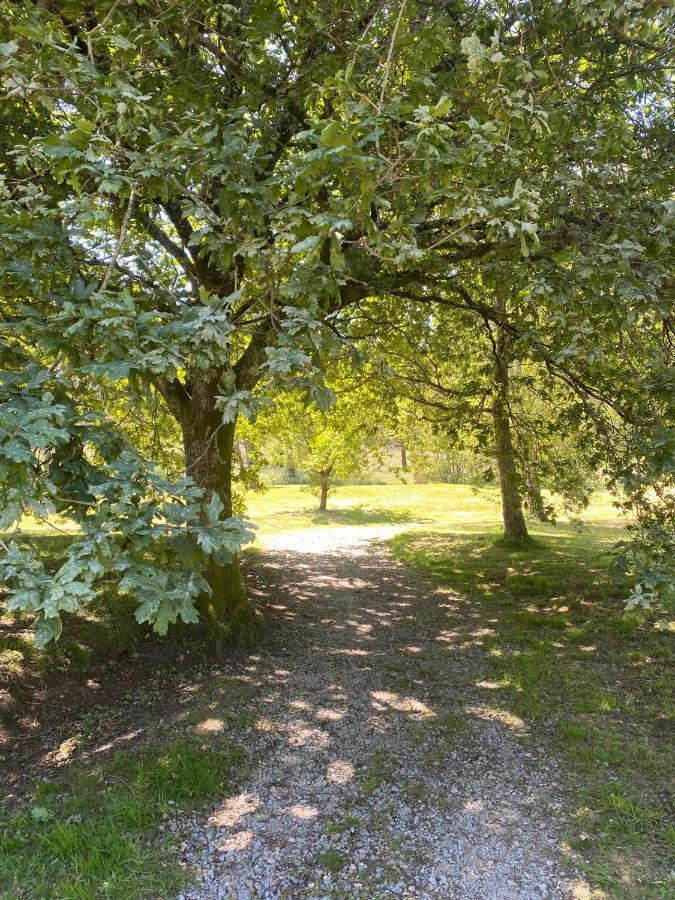 Cotolai Apartman Santiago de Compostela Kültér fotó